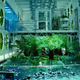 Illustration for article titled Scientists Are Perfecting the LED Lighting For Our Future Space Gardens